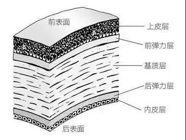 微信图片_20200316094525.jpg