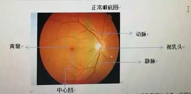 1584339201128781.jpg