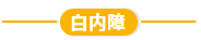 QQ截图20200325092325.png