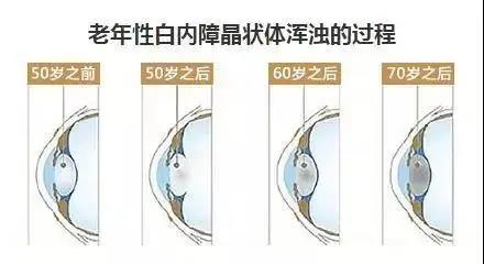 微信图片_20200428090327.jpg