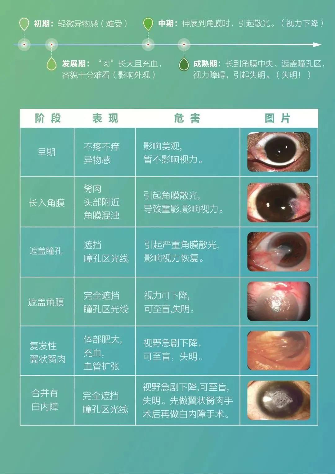 眼睛居然長出了