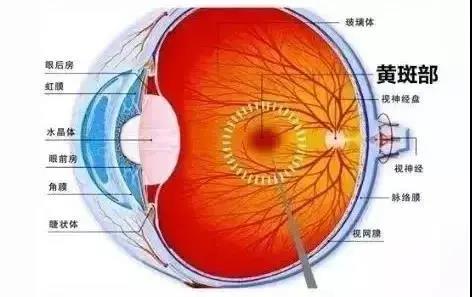 微信图片_20200610095441.jpg