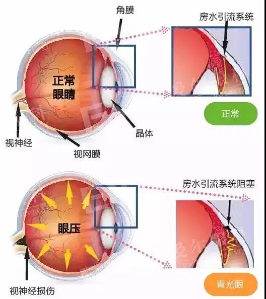 微信图片_20200703094929.jpg