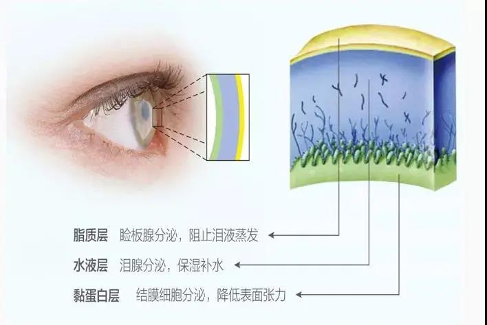 微信图片_20210414102439.jpg