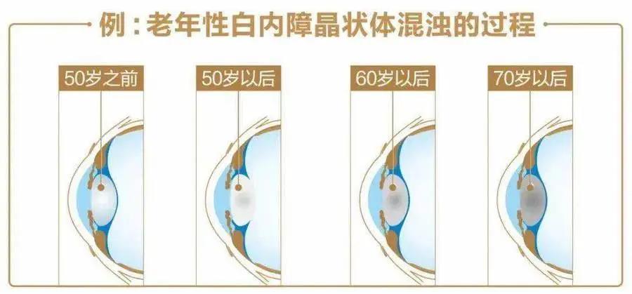 微信图片_20210421144524.jpg