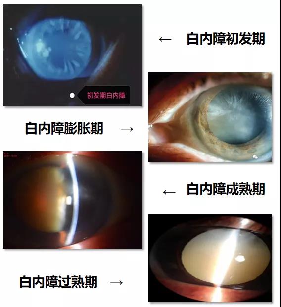 微信图片_20210421150008.jpg