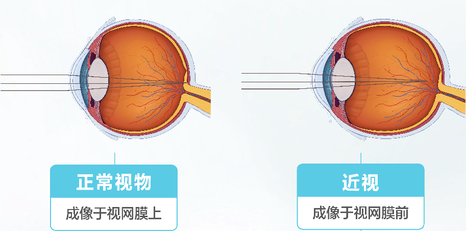 微信图片_20210428165617.png