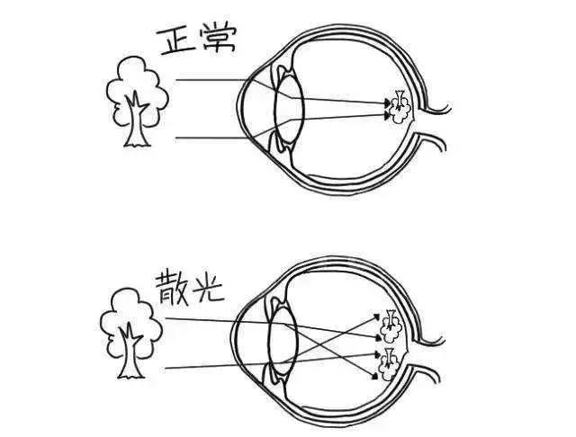 微信图片_20210429091928.jpg
