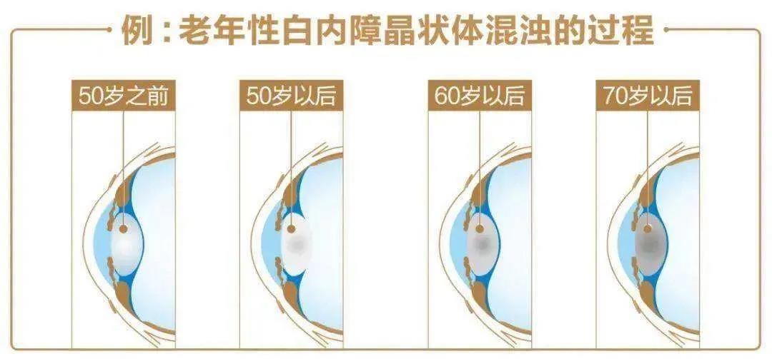 微信图片_20210429100246.jpg