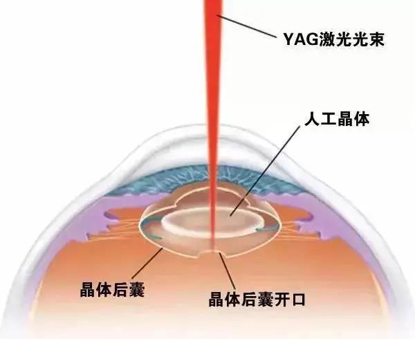 微信图片_20210429100901.jpg