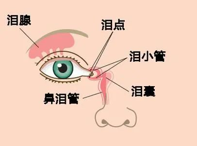 微信图片_20210810094044.png