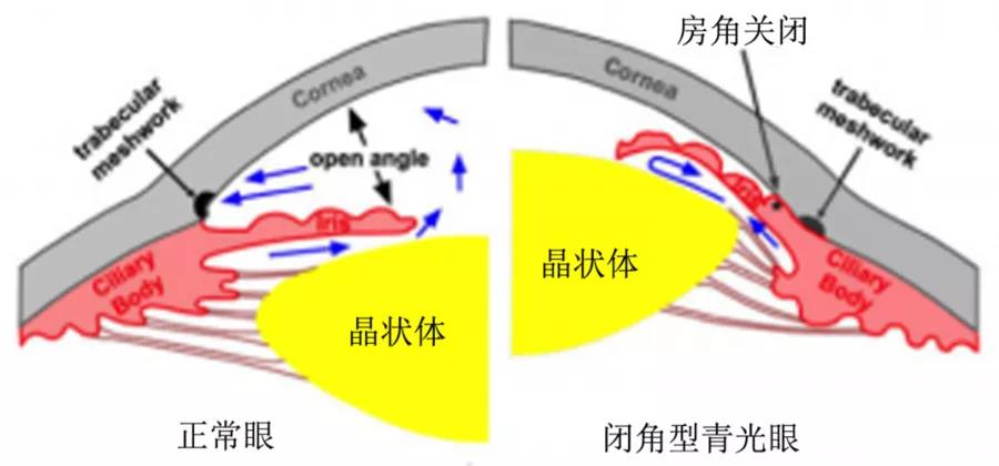 微信图片_20210817094036.jpg