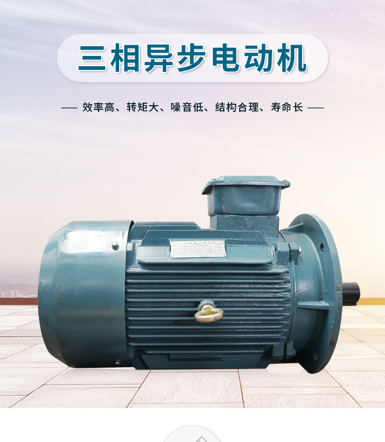 20211018-电机YE2-160L-4+B5-15KW-中文-49_01.jpg