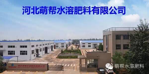 微信图片_20190608234550.jpg