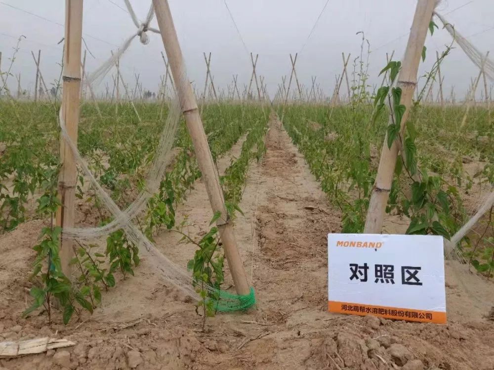 微信图片_20190628222949.jpg