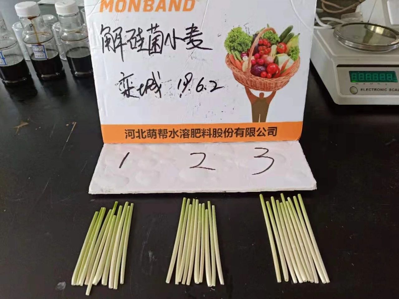 微信图片_20190628223029.jpg