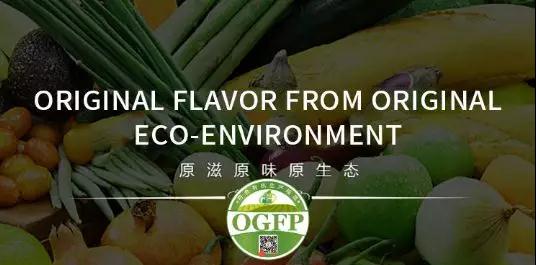 微信图片_20190801165307.jpg