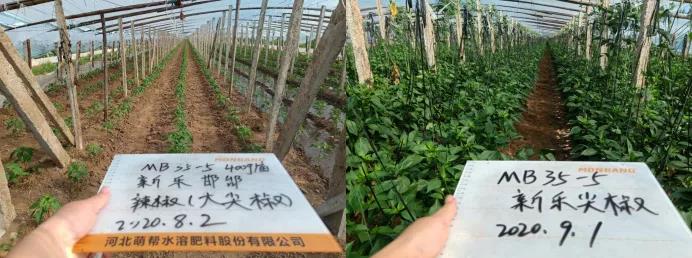 微信图片_20200923145453.jpg