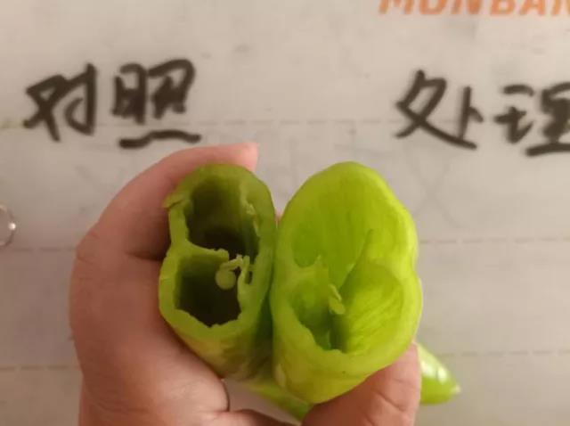 微信图片_20200923145500.jpg