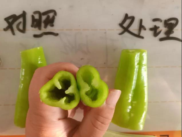 微信图片_20200923145510.jpg