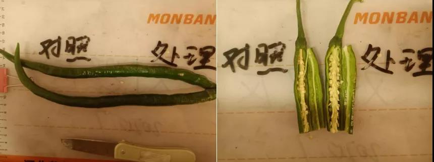 微信图片_20200923145527.jpg