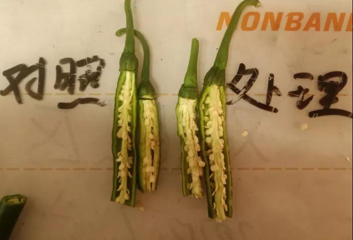 微信图片_20200923145554.jpg
