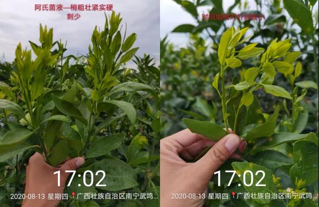 微信图片_20200923150623.jpg