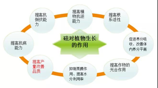 微信图片_20200923150656.jpg
