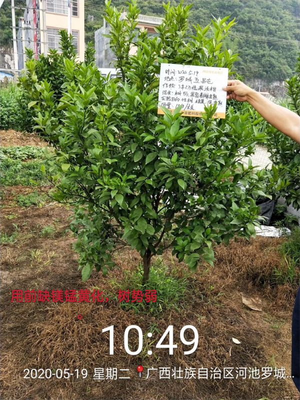 微信图片_20200923160500.png