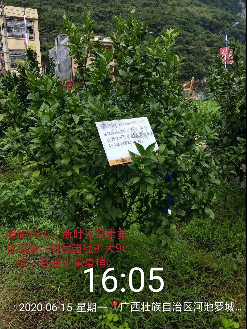 微信图片_20200923160511.jpg