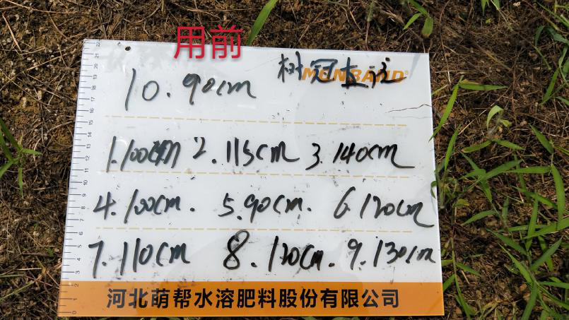 微信图片_20200923160520.png