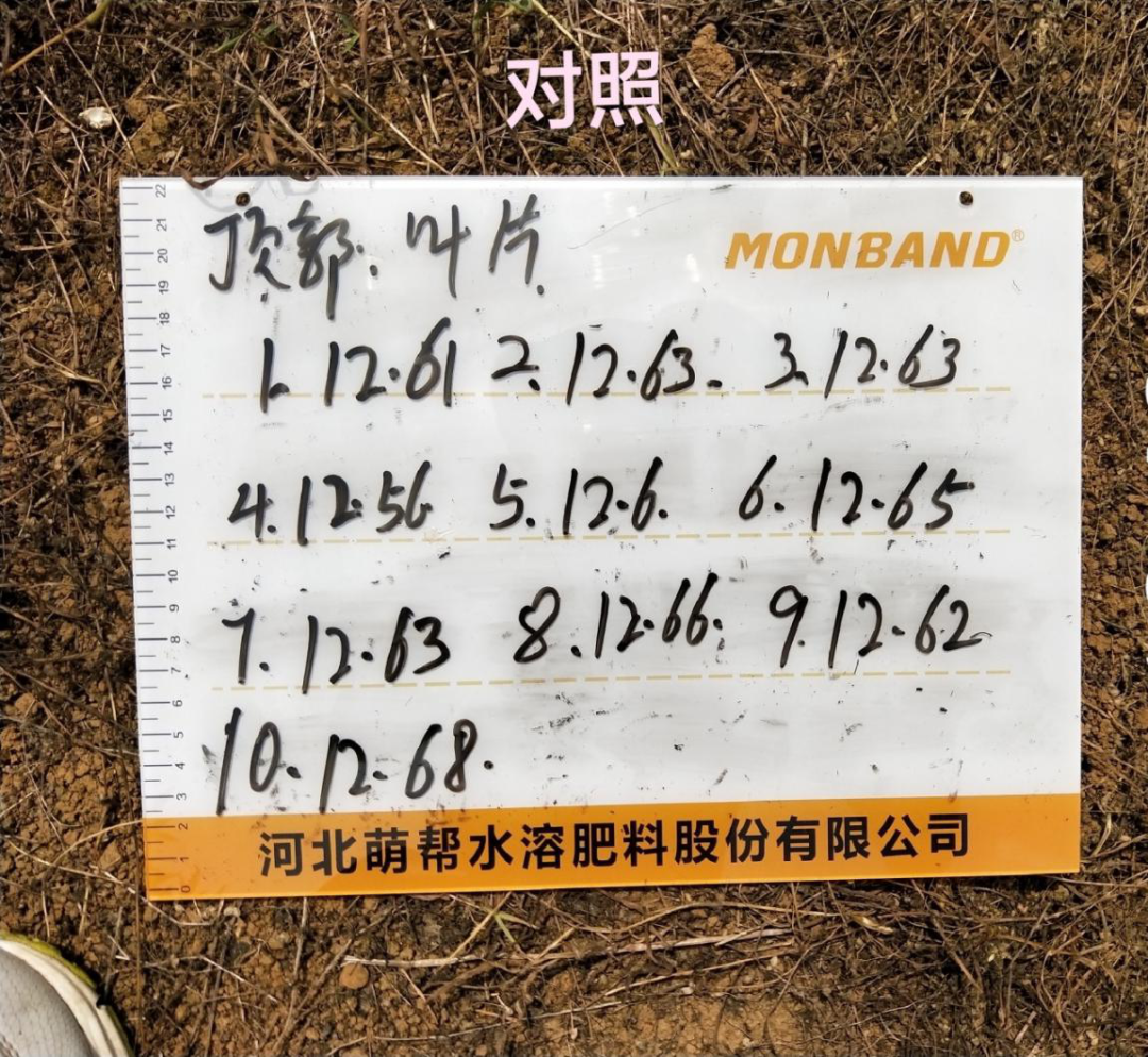 微信图片_20200923160620.png