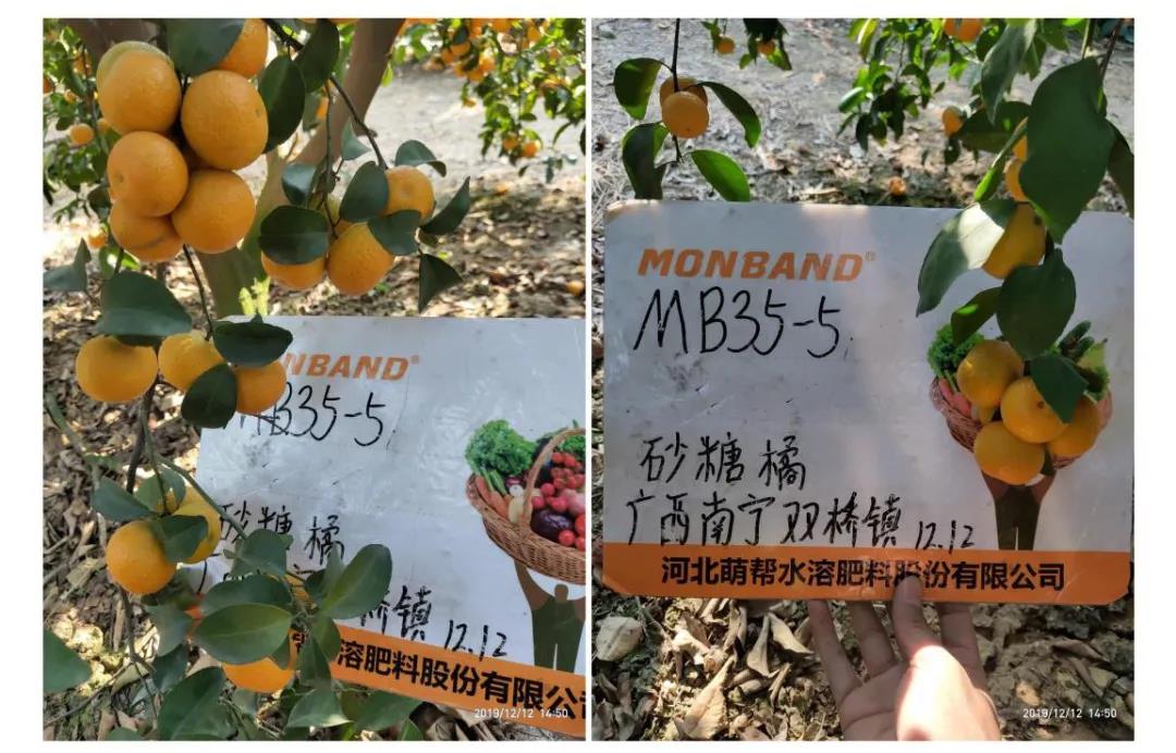 微信图片_20200923163146.jpg