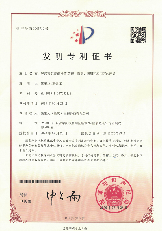 KY15专利证书_页面_1.jpg