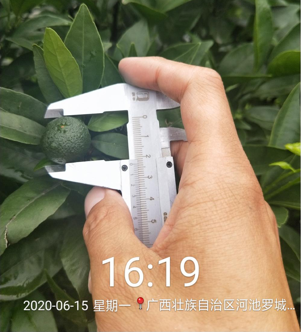 微信图片_20200924153354.png
