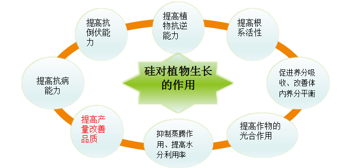 微信图片_20200924153413.png