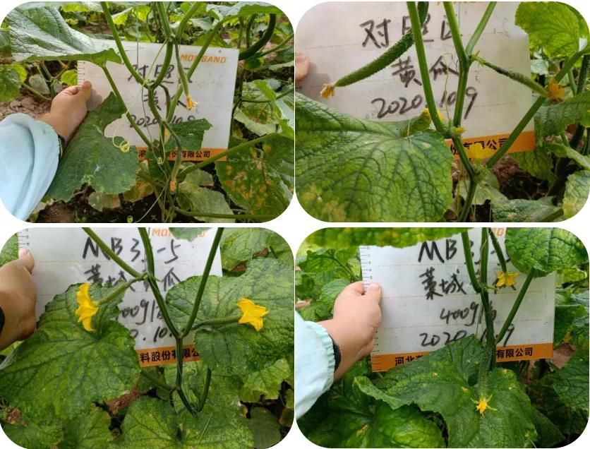 微信图片_20201015151918.jpg