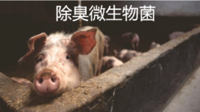 微信截图_20240308100540.png