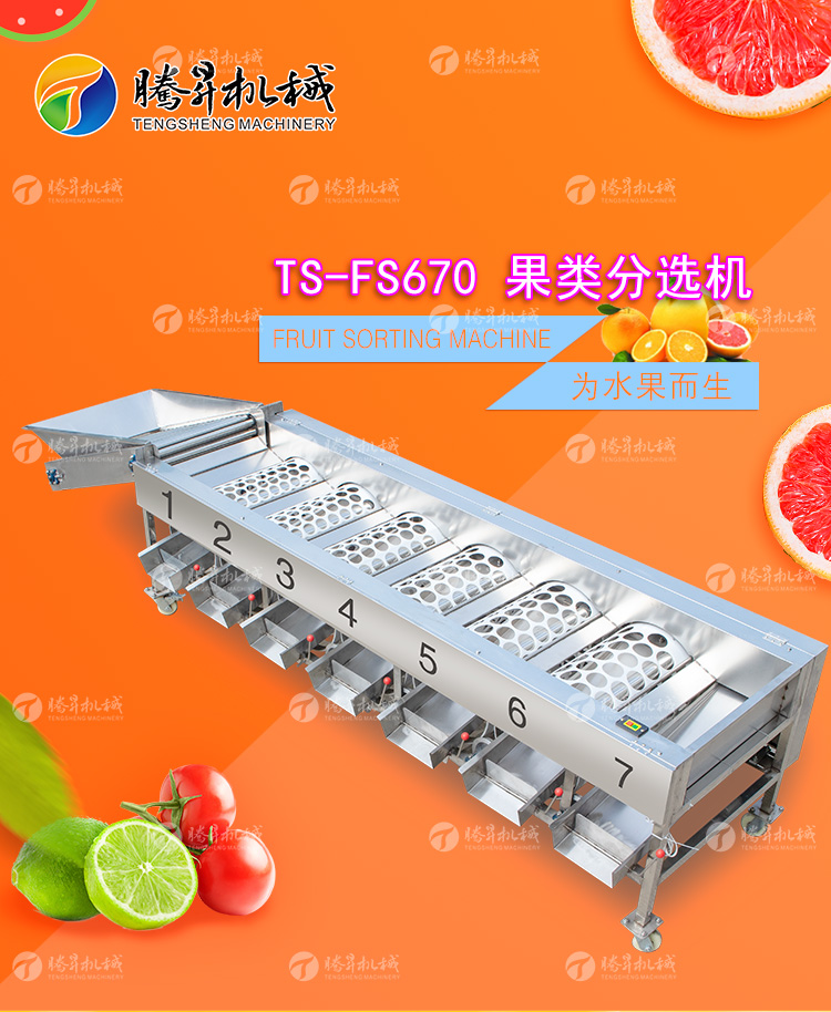 TS-FS670-果类分选机-详情页_01.jpg