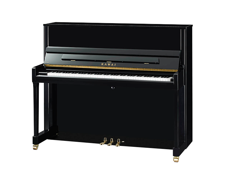 k-300_阳江市江城区艺苗琴行