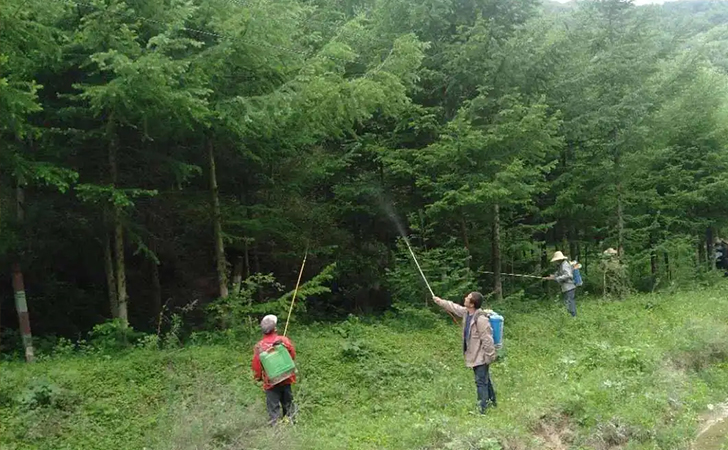 清远市清新区2021年林...